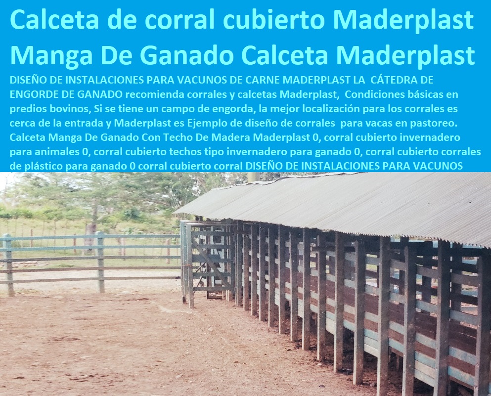 Manga Calcetas Embudos Apretaderos Fuertes Maderplast Corral Ecológico 0 Estudio de Factibilidad Para El Engorde de Ganado 0 corrales Automáticos Para Ganado 0 Fabricantes Con Experiencia en El Mercado Estabulado 0 Establo mangas Manga Calcetas Embudos Apretaderos Fuertes Maderplast Corral Ecológico 0 Estudio de Factibilidad Para El Engorde de Ganado 0 corrales Automáticos Para Ganado 0 Explotación Ganadera Automatizada, Sistemas de Pastoreo, Estabulación de Ganado, Pastoreo Intensivo, Establos, Corrales, Saladeros, Comederos, Cerramientos, Postes, Ganaderías Tecnificadas, Ganaderías Tecnificadas, Fabricantes Con Experiencia en El Mercado Estabulado 0 Establo mangas